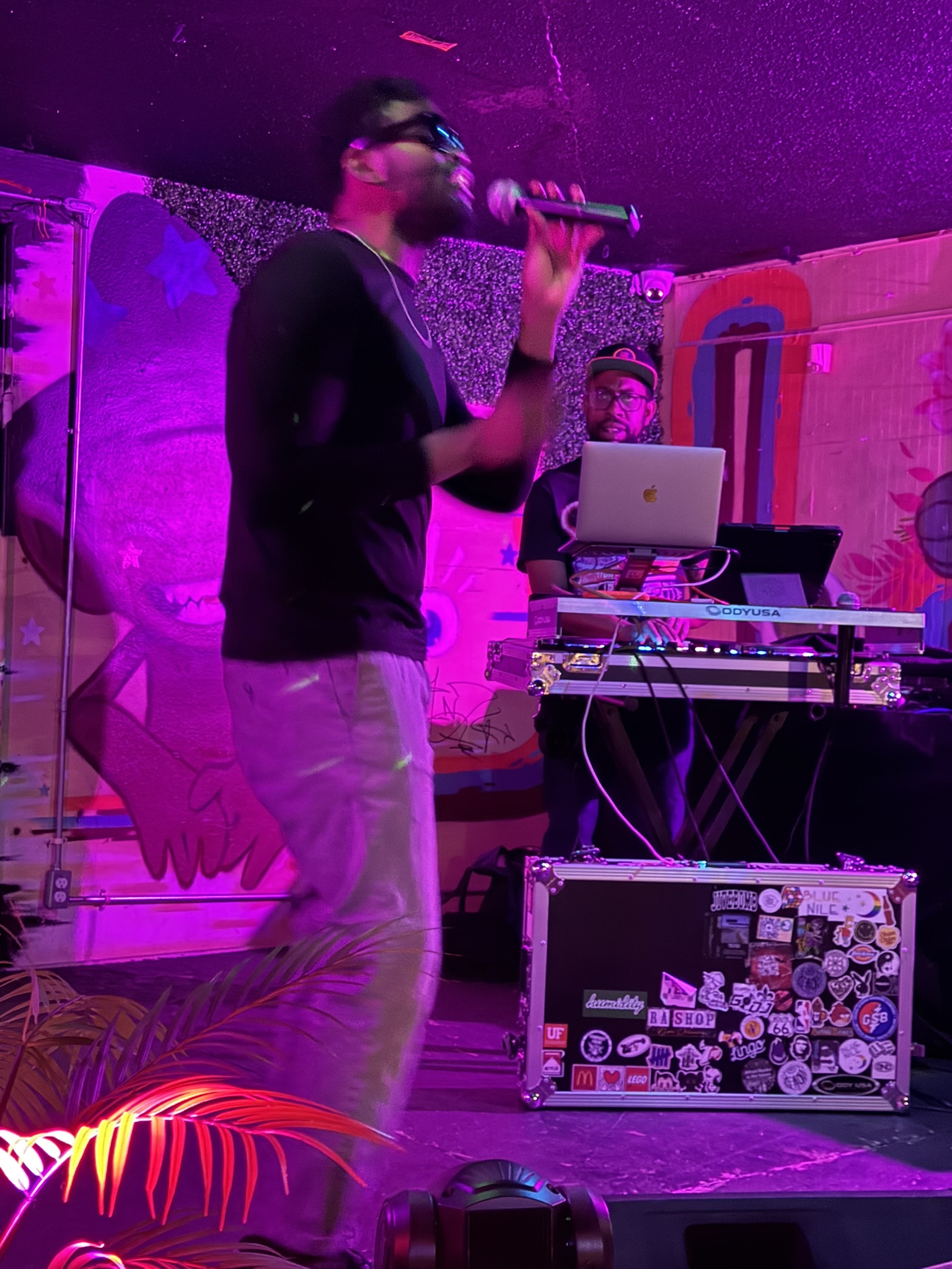 photo of Toni singing on stage